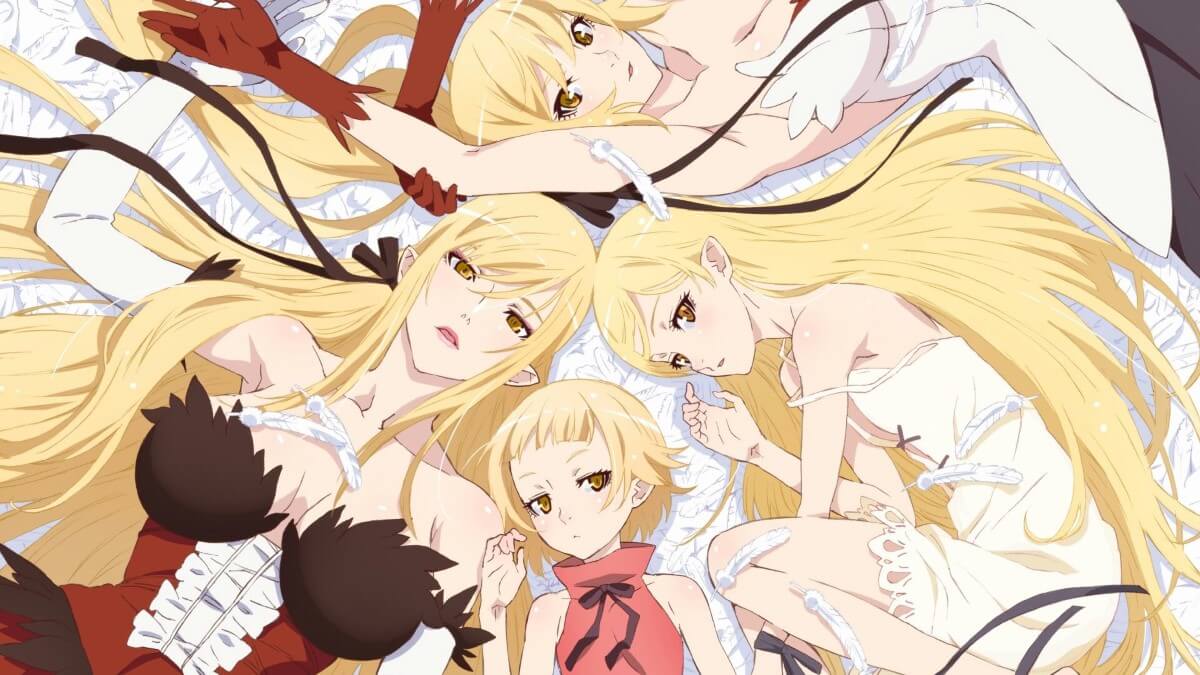 ordem para assistir monogatari #monogatari #monogatariseries #araragi